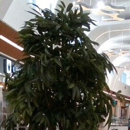 ���� �������, ������������, 57 ��� - ��������� 9 ������ 2019