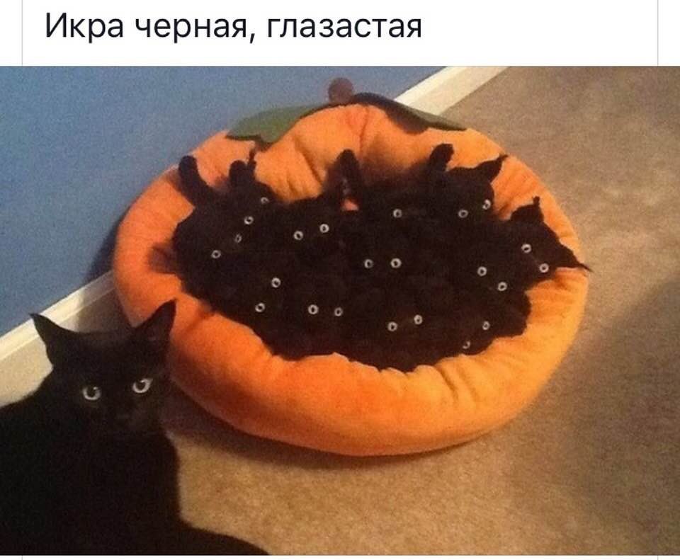   - 9  2019  17:36