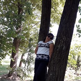, , 42 