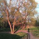 Where The Long Shadows Fall (Beforetheinmostlight) �� ������� �existence�