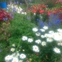 ���� �������, ������, 68 ��� - ��������� 17 ���� 2019 � ������ �2019�