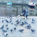 ���� �������, �����-���������, 33 ���� - ��������� 18 ������� 2019