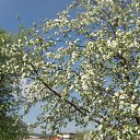 ���� ���������, �������� - ��������� 13 ��� 2019 � ������ ���� ����������