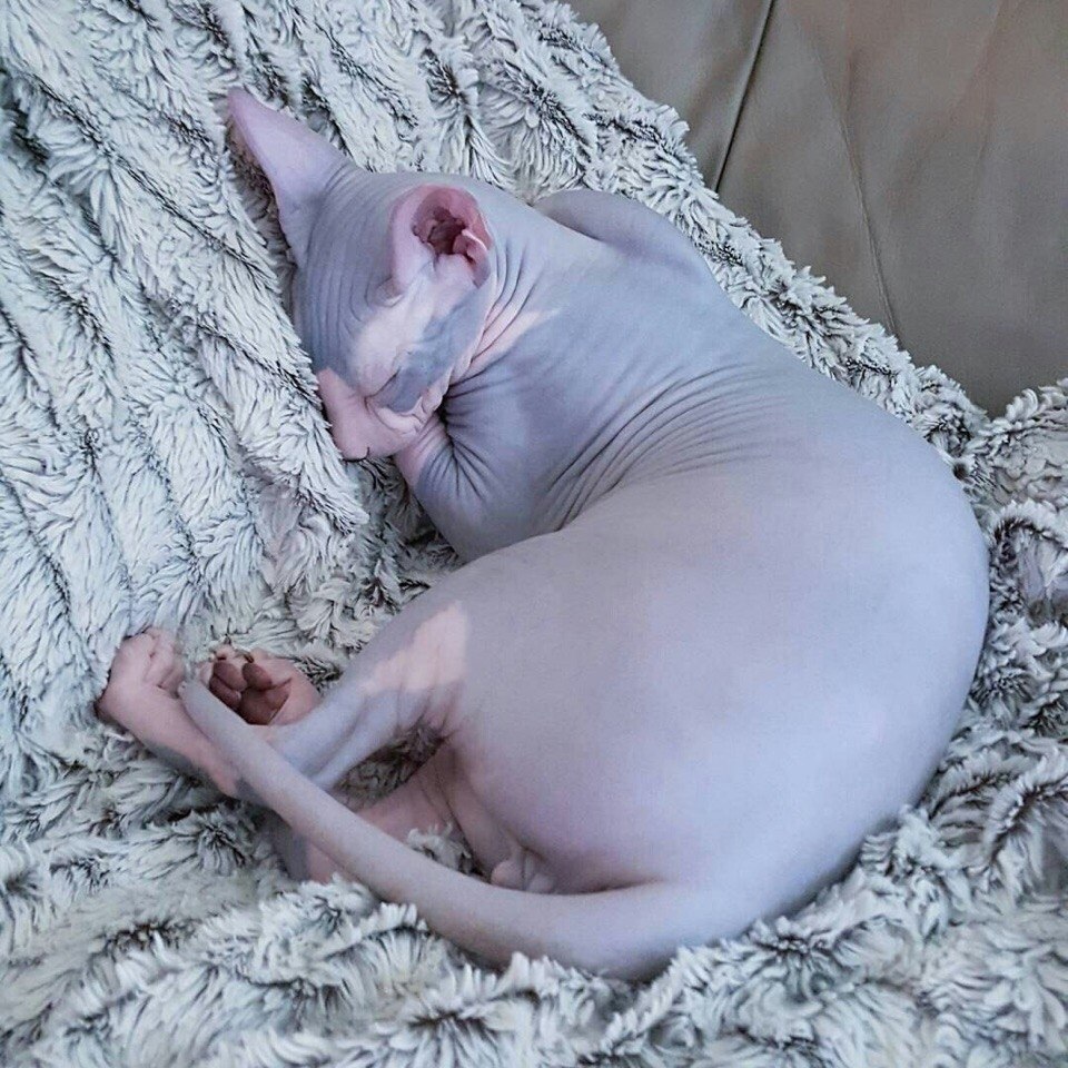    :3 - 3