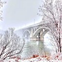 ���� �����, �����, 56 ��� - ��������� 24 ������� 2019 � ������ ������ ��������