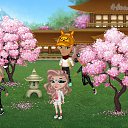  , , 105  -  25  2019   Tropikania