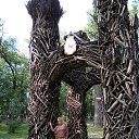 ���� ��������, ������ ��������, 62 ���� - ��������� 6 ���� 2019 � ������ ���� ����������