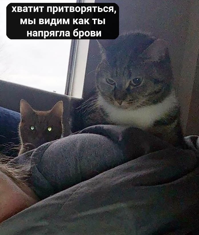 .  . . - 5