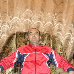 ���� , �����, 50 ���