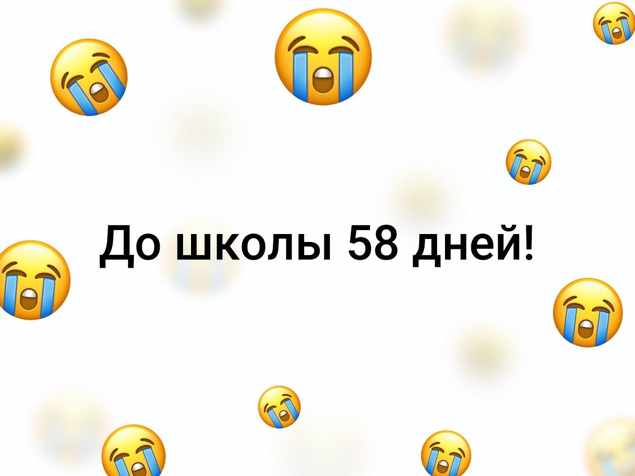   - 6  2019  03:49