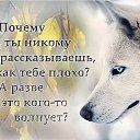 ���� ����, ������� - ��������� 7 ������ 2019 � ������ ������ ��������