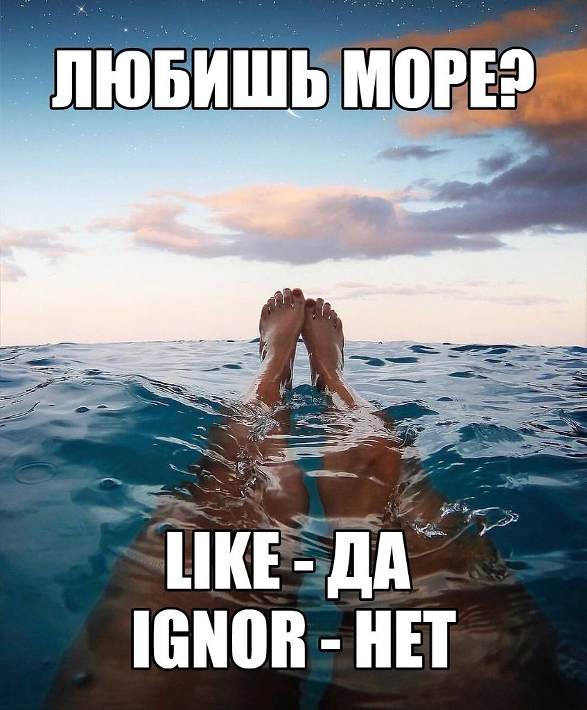   - 22  2019  03:37
