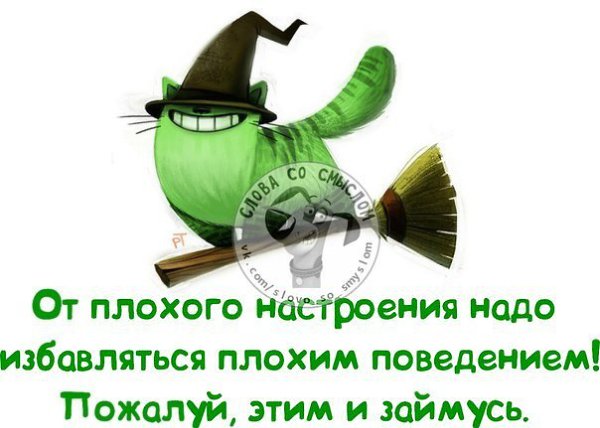 ������ - 16 ������ 2019 � 17:49
