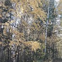 ���� �������, ������������, 61 ��� - ��������� 2 ������� 2019 � ������ ���� ����������