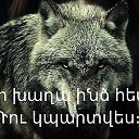 ���� Karapet, ������, 33 ���� - ��������� 29 ������ 2019