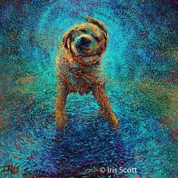  ,  .:   (Iris Scott) - 2