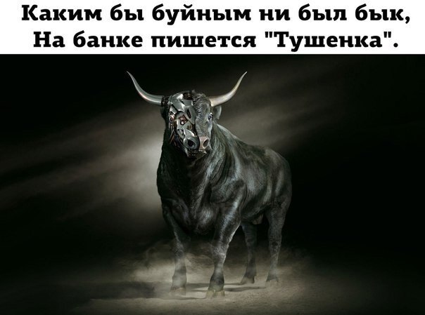    - 23  2019  01:57