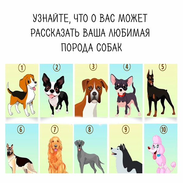 Проходите тест и ждите следующий пост, там будут ответы.#тест@psyxov