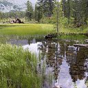  , -, 64  -  20  2019    