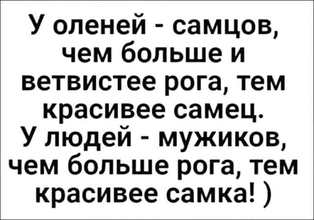 ☆ ☆ - 12  2019  03:59