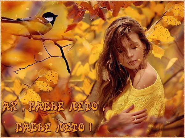   ,    . - 28  2019  10:25