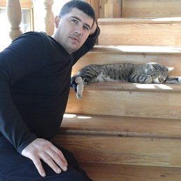 ����, ���������, 47 ���