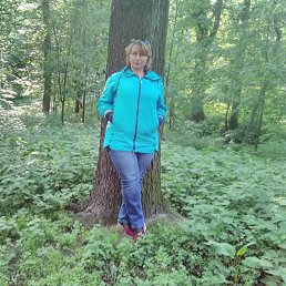 �������, �����-���������, 52 ����