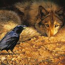 ���� ���������, ������ - ��������� 29 ������� 2019 � ������ �wolf�