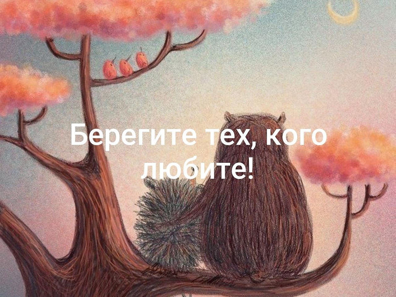   - 16  2019  18:17