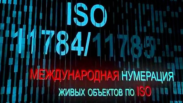 ��� ������ ��� - 10 ������ 2019 � 02:24