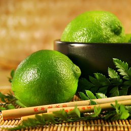 �����, ������, 51 ���