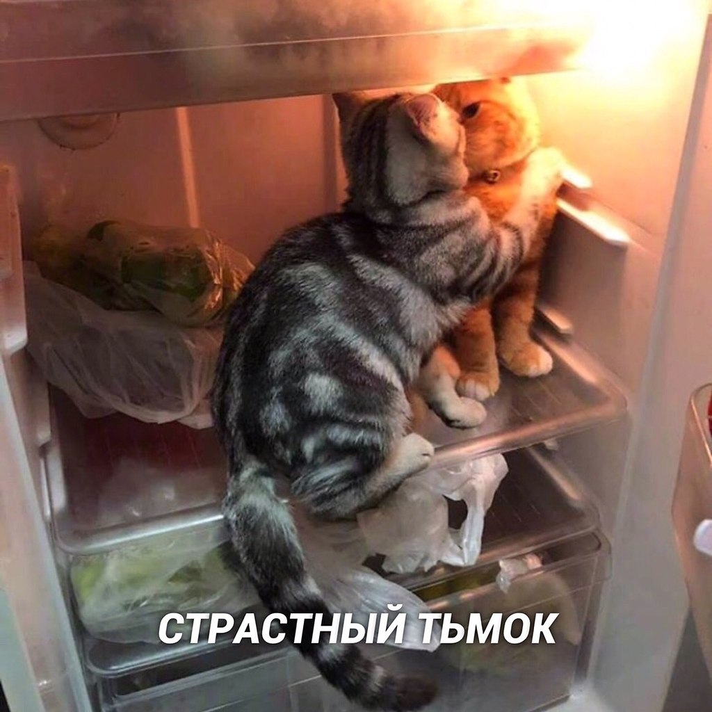 Bu o: - 7
