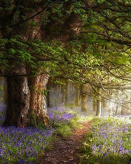 Flakebridge, England