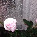 ���� ������, ���� - ��������� 17 ������� 2019 � ������ ���� ����������