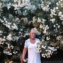 ���� ���������, �����-��������� - ��������� 1 ���� 2019 � ������ ���������� ������