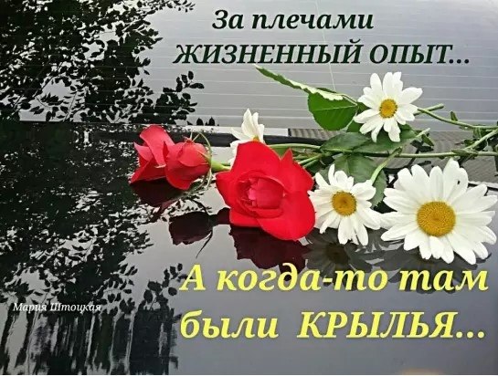 Человек бежит по жизни, не жалея ног. .Дом - работа, дом - работа, отбывая срок. Выходные - ...