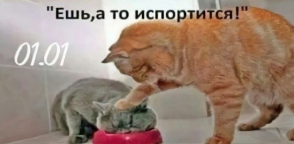       - 2