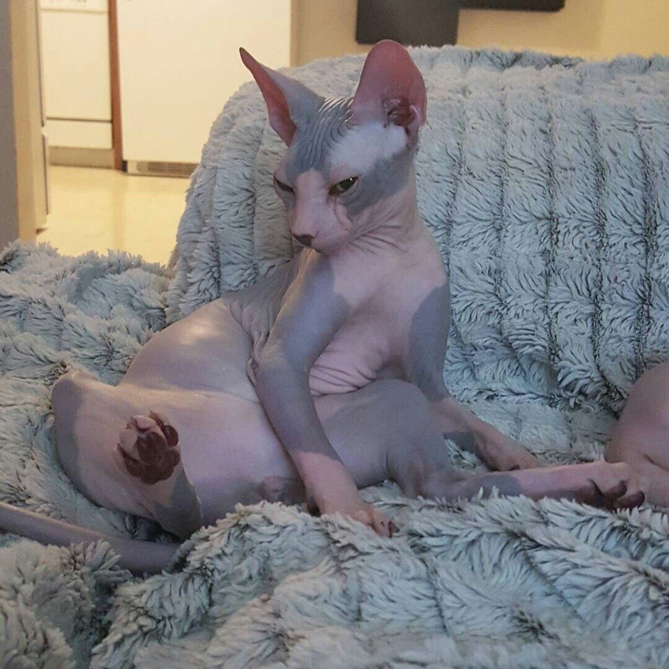    :3 - 4