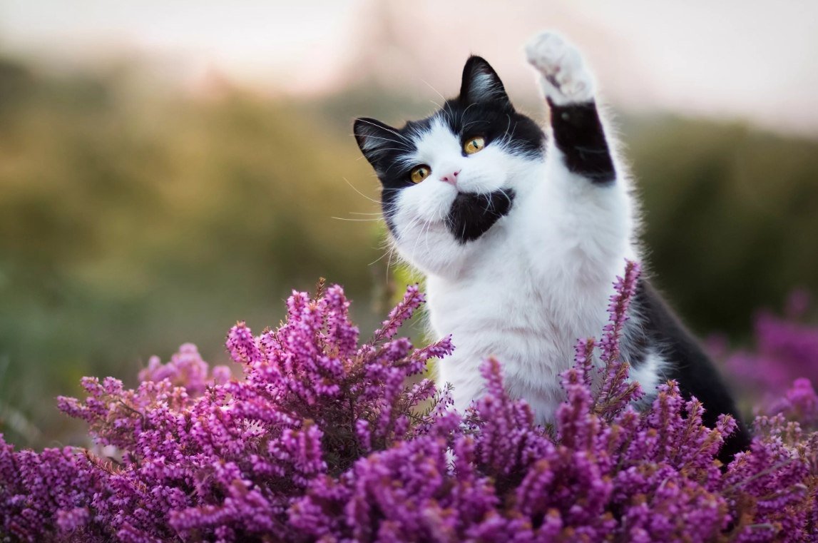  ! - 25  2019  17:03 - 2