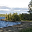  , , 68  -  22  2019    2019