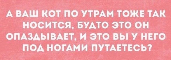    - 31  2019  03:51