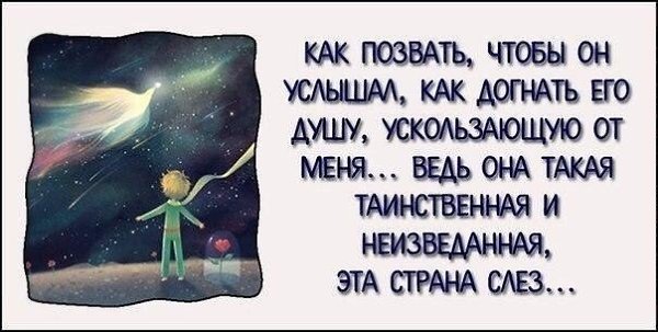 10 самых вдохновляющих цитат из «Маленького принца».#настроение@ican - 2