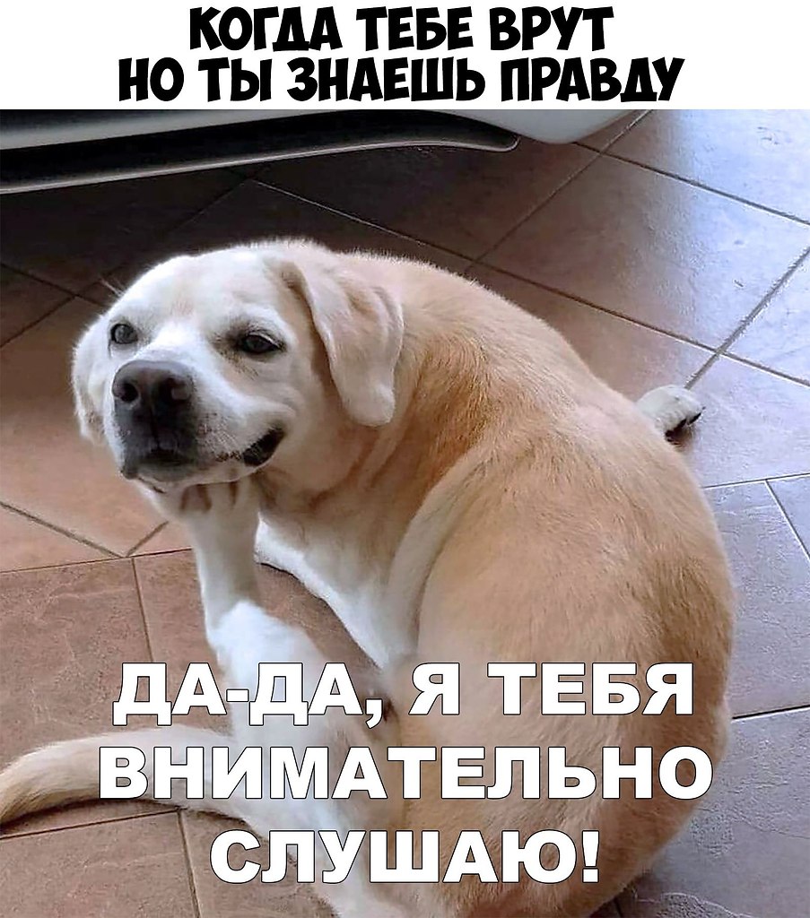  - 12  2019  03:41