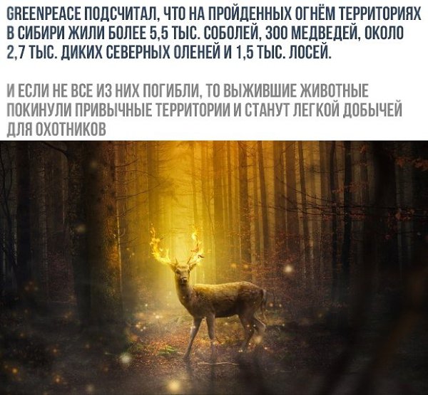    - 10  2019  19:23