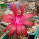 ���� ������, ��������, 55 ��� - ��������� 21 ���� 2019 � ������ ������ ��������