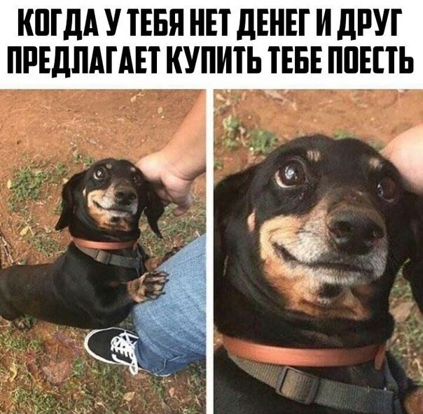 ? ,  ! - 15  2019  18:32