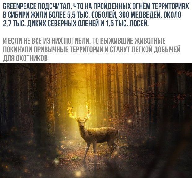   - 10  2019  19:23