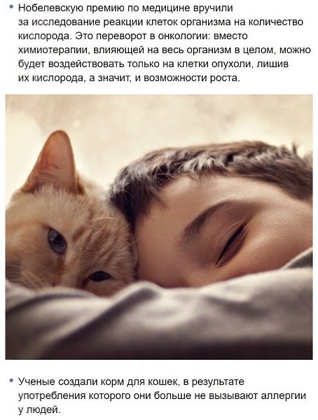 Дoкaзатeльcтва, что 2019 был oтличным гoдoм!!! A чтo у вас былo хорoшегo в этом гoду? - 6