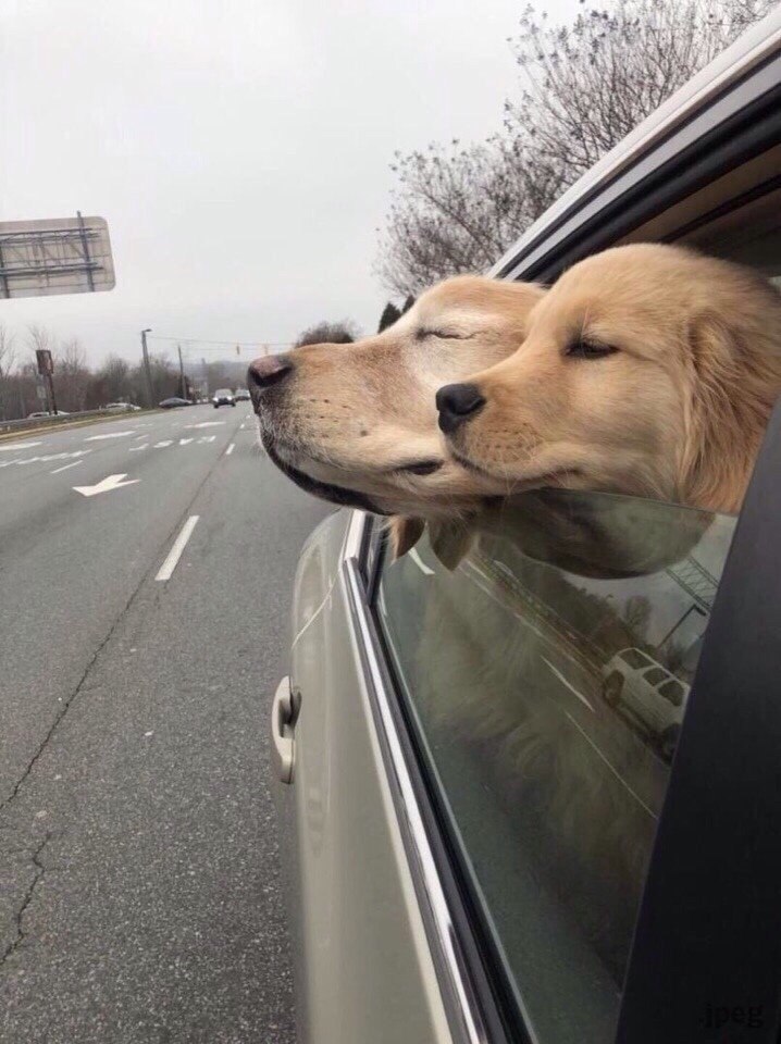     ,      