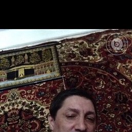 ���� �����, ���������, 49 ��� - ��������� 12 ������� 2019